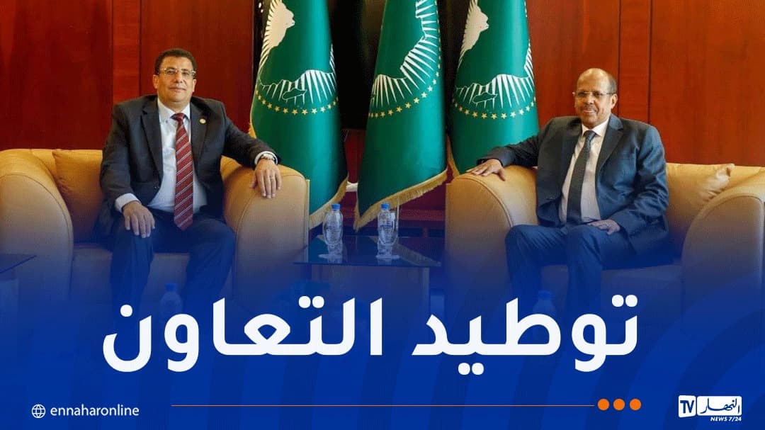 AU Chair Meets African Parliament President