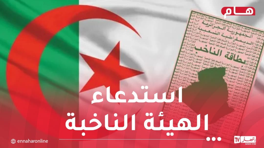 انتخاب أعضاء المجالس المحلية في 28 نوفمبر 2026