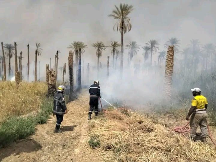 Al-Mughir Fire in Date Palm Forests Extinguished