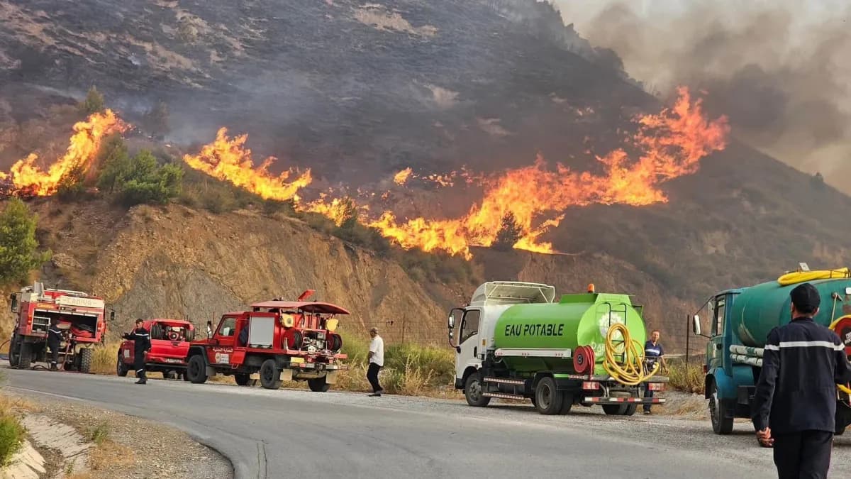 Latest on Endaouline fires