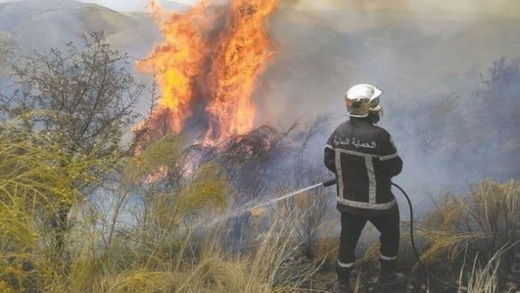 Latest tally reports 35 fires in 24 hours