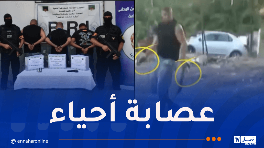 Guelma: Three Suspects Arrested with Ammunition