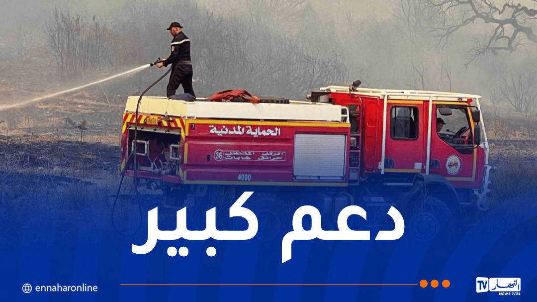 Jijel Forest Fire Prevention Efforts