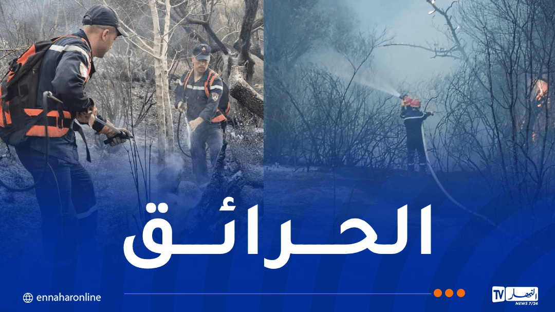 ثلاث حرائق في سطيف وبجاية والجلفة