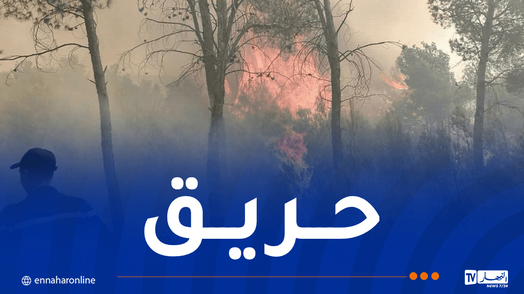 Khenchela Hamama fire risks forest spread
