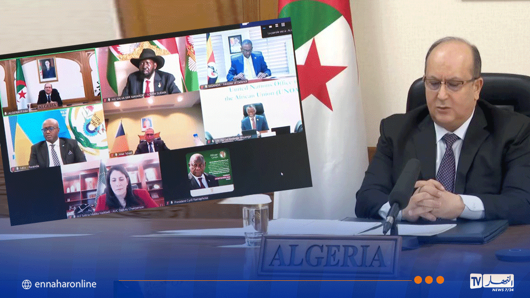 Algeria Provides Support for South Sudan Elections