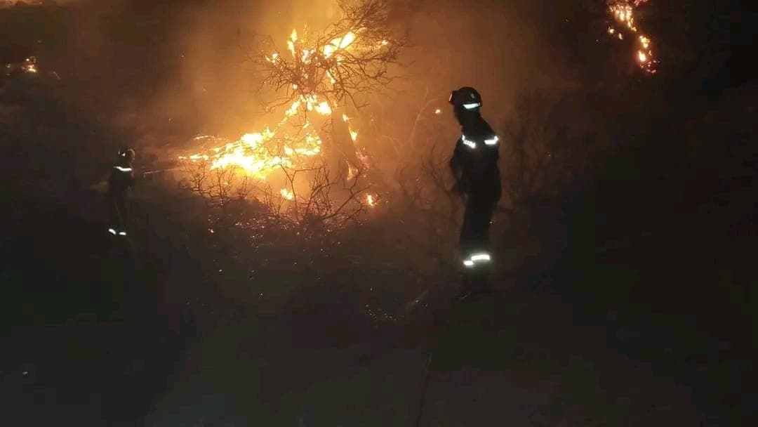 Guelma Fire Burns Vegetation