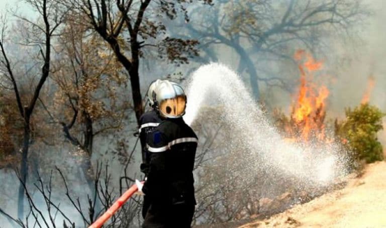 Tizi Ouzou Fires Impact Most Farmers