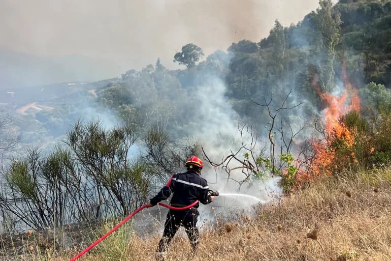 Sétif forest fire in Jbel Biyan