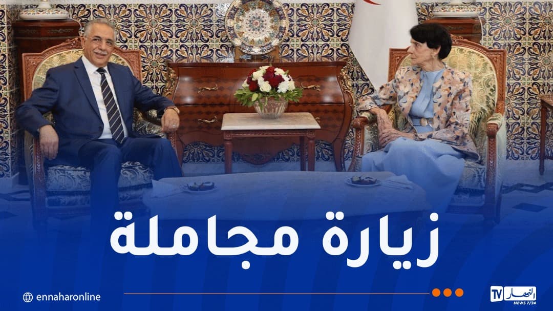 Aslawi Meets Election Authority Leader
