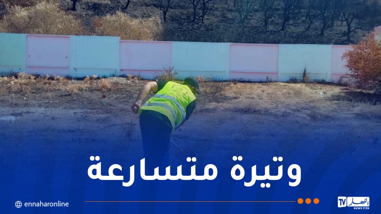 Addel for Real Estate Repairs Jijel Schools