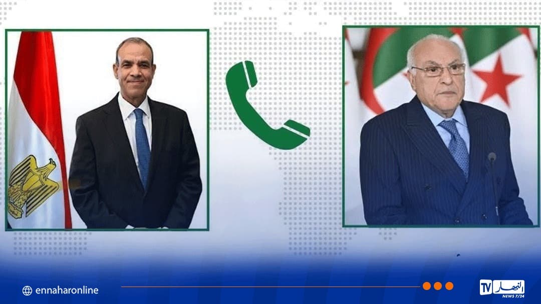 عطاف يبحث الوضع العربي والإفريقي مع مصر