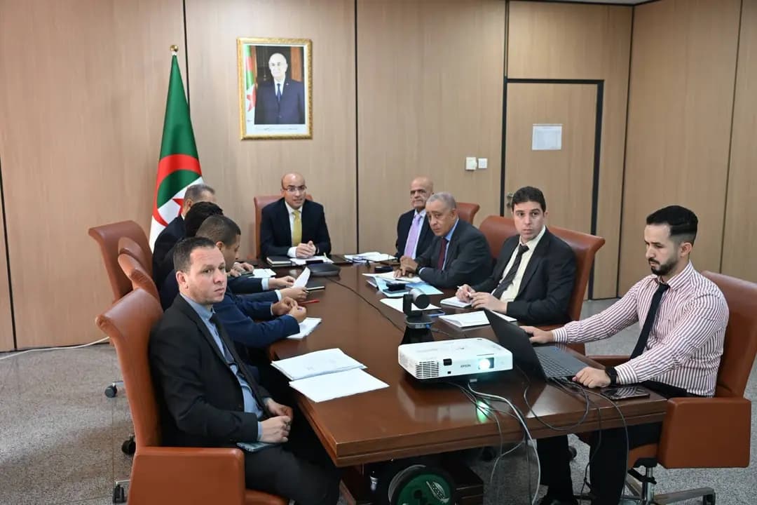 Shaib Seeks Faster Digital Consular Services