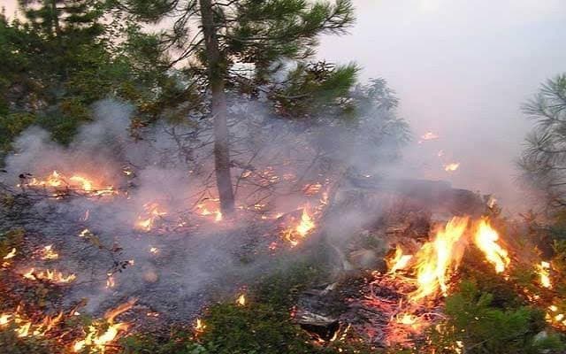 Four fires remain active
