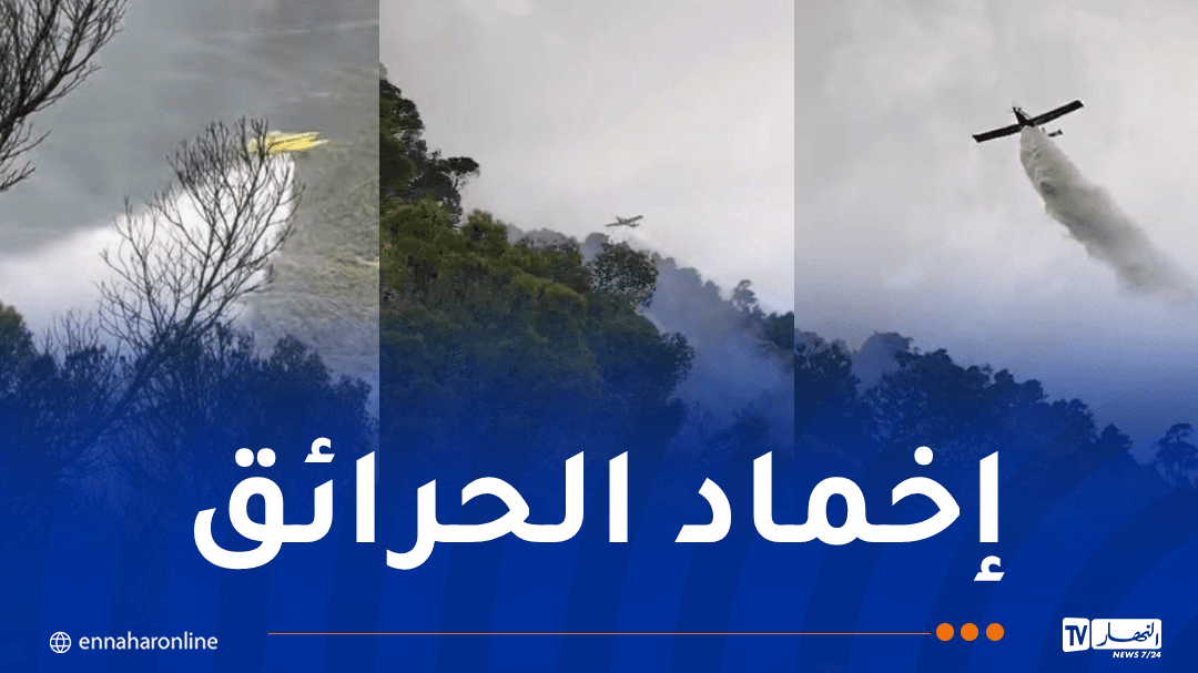 الجيش يسيطر على حريق جبل بوطالب بسطيف