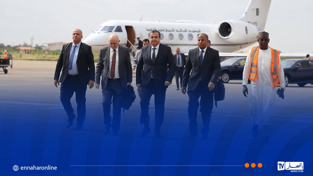 وزير الطاقة يصل إلى النيجر