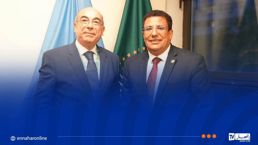 بوطيب يركز على دور البرلمان الإفريقي في القضايا الدولية