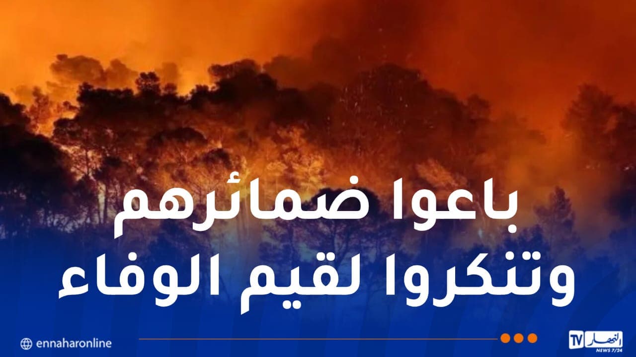 الجزائر تواجه خيانة كأداة للضرر