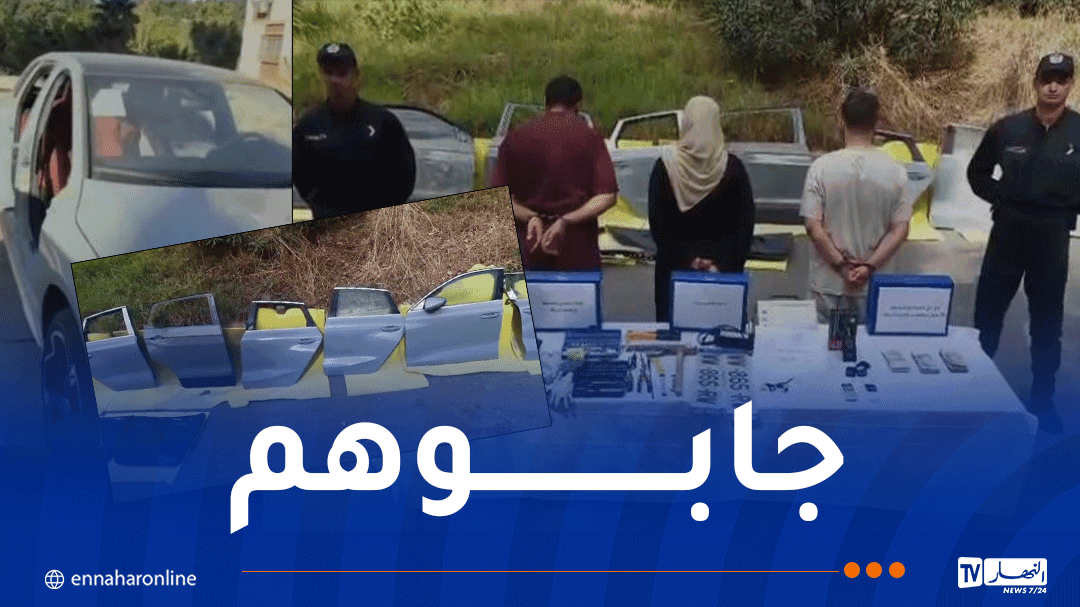Capital car door theft gang arrested