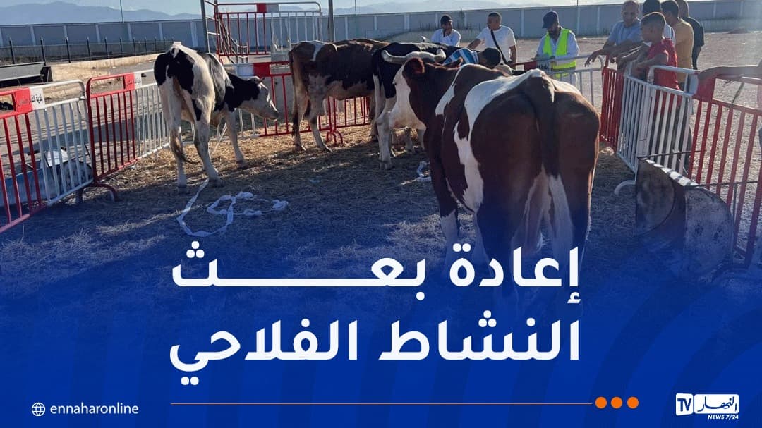 تعويض المزارعين المتضررين من حرائق الغابات بالجيجل والبجاية