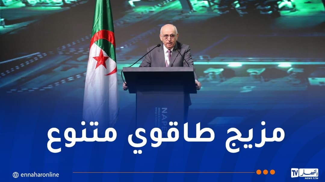 داودي: الجزائر بوابة طاقوية بين إفريقيا وأوروبا