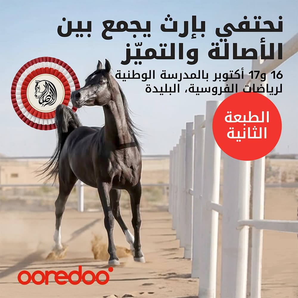 الجزائر تدعم النسخة الثانية من بطولة الخيل العربي