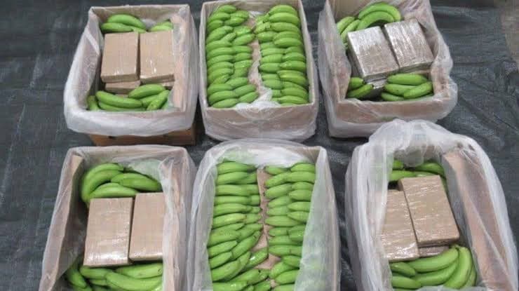Ecuador, Europe, UAE disrupt cocaine network