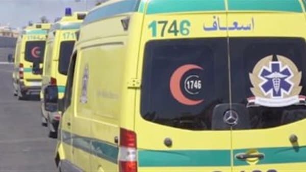 10 injured in Qena microbus crash