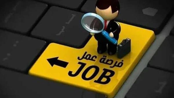 وظائف السفارة الألمانية بالقاهرة 2026