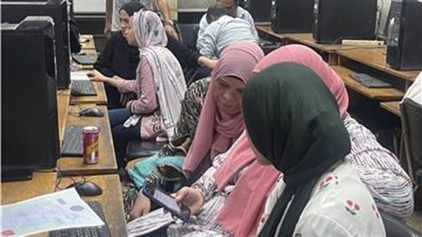 قواعد التنسيق الإلكتروني 2026