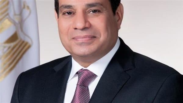 Sisi meets Tanzanian President in Dar es Salaam