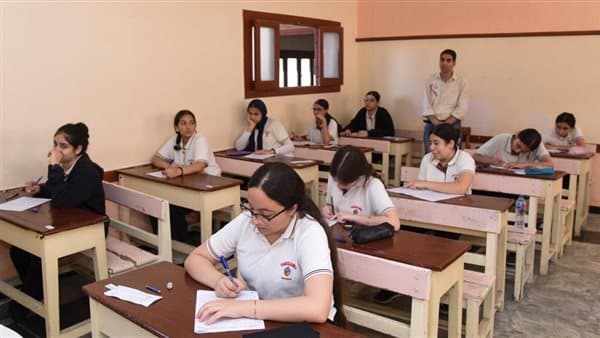 Egyptian Baccalaureate 2026: Choosing the Right Path