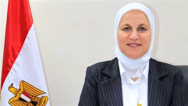 تعليم القاهرة تبدأ استعدادات دبلومات 2026