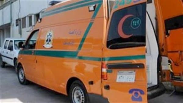 12 hurt in Fayoum-Lahun crash