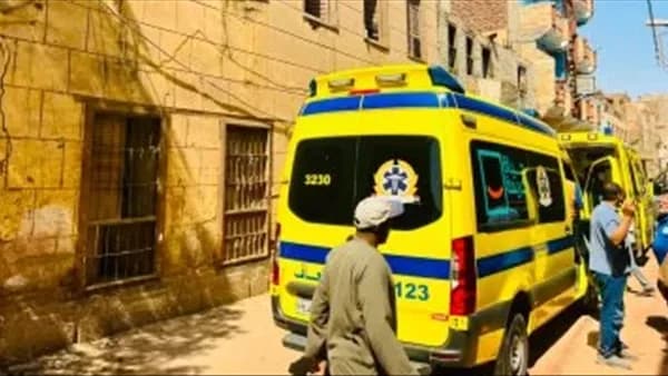 Driver assaults brother over inheritance in Menoufia