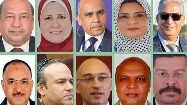 جامعيون في لجان المجلس الأعلى للآثار