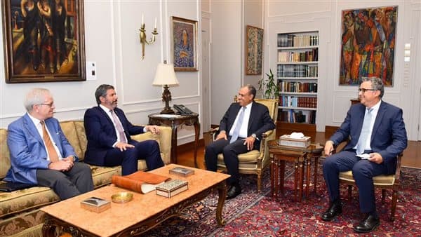 وزير الخارجية يبرز أهمية الحلول الدبلوماسية للأزمات
