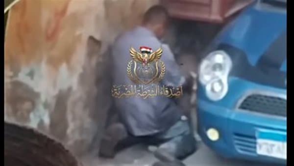 شاب يُظهر تصرفات غير لائقة مع كلب في الزاوية الحمراء