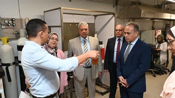 Research partnership under review between Research City and Egyptian-Japanese University