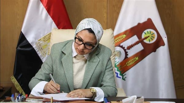 تجديد عقد 70 معلمة رياض أطفال بـالوادي الجديد