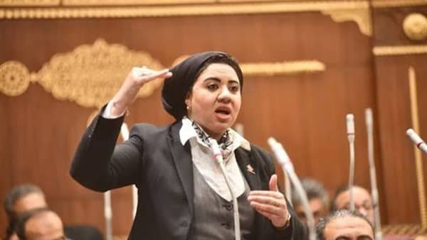Amira Saber criticizes medical standard decline