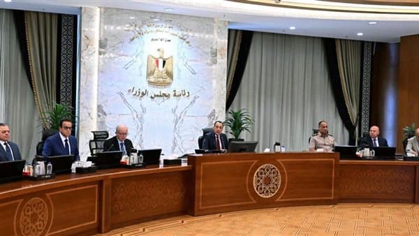 Cabinet approves $3B international releases