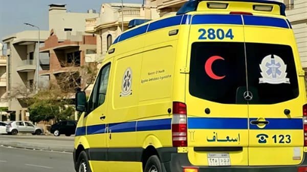 Eight students and teacher hurt in Asyut crash
