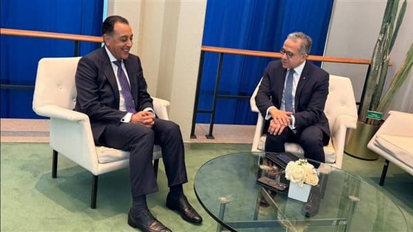 Madbouly praises El-Anany on UNESCO reforms
