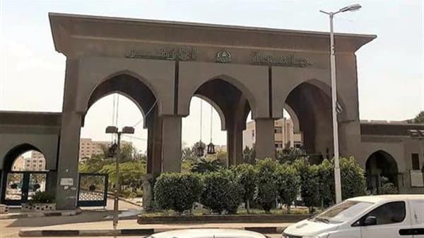 Al-Azhar Seeks Engineering Dept Director
