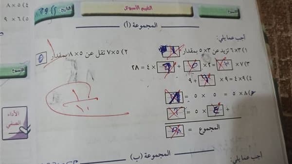 Abdul Latif's Guardian Criticizes Grade 3 Math