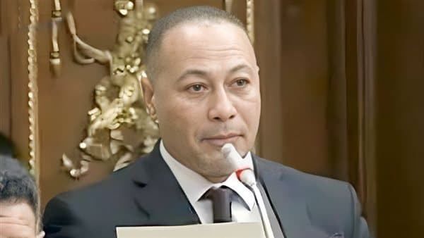 MP Alaa Suleiman Seeks Extension Justifications