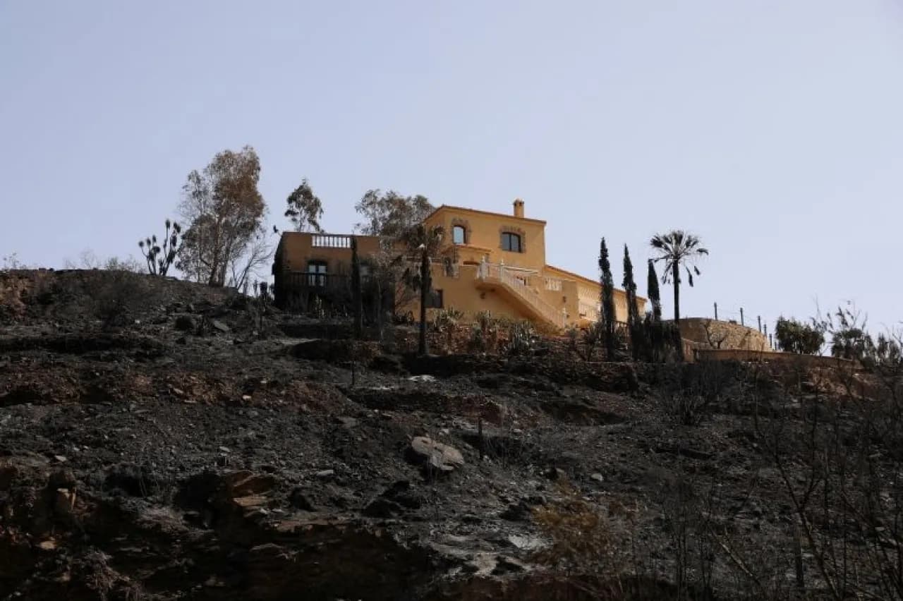حريق في غابة شهيرة قرب باريس يؤدي إلى وقوع قتلى ومفقودين في حرائق إسبانيا