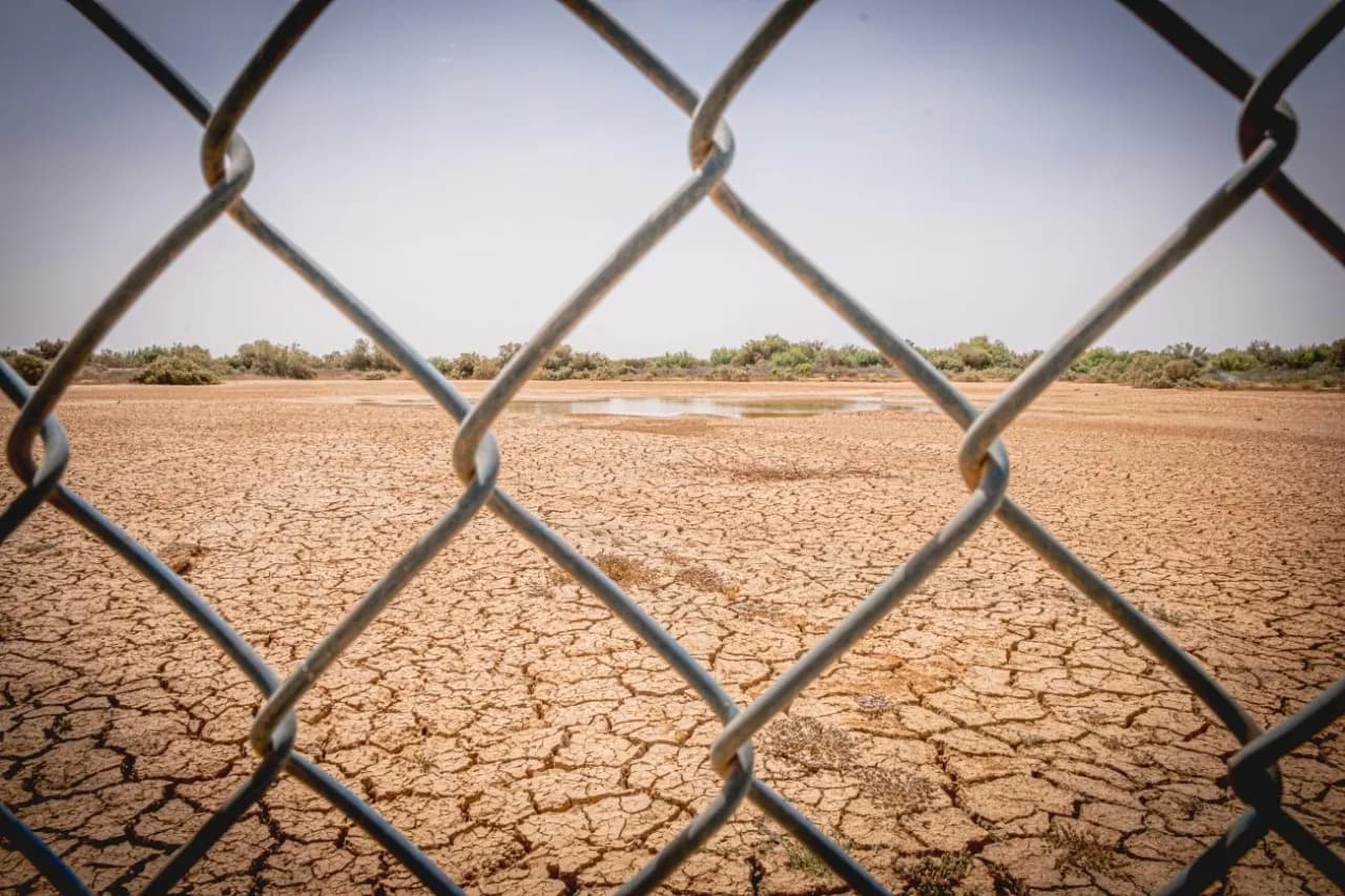 Al Azraq hits 45.1°C today