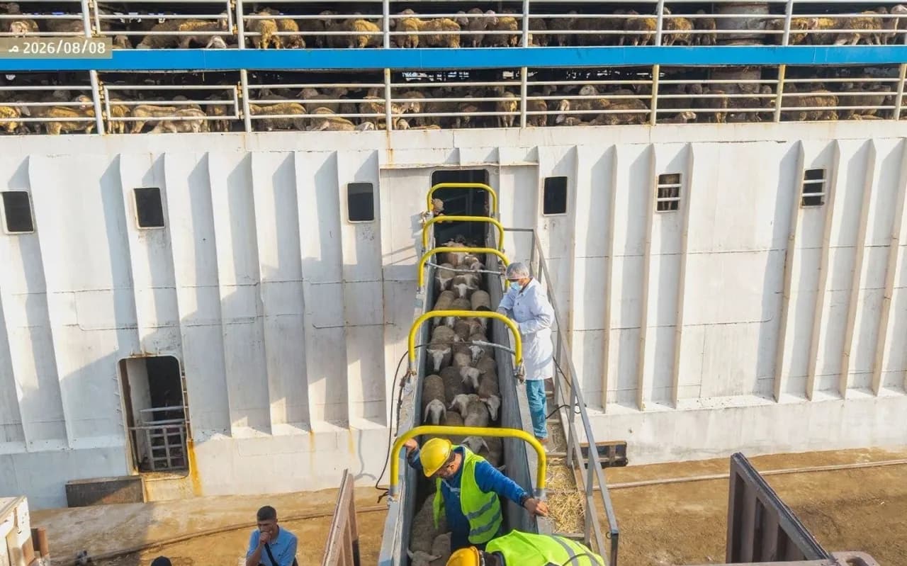 Syria: Three Livestock Ships Head to Jordan and Iraq